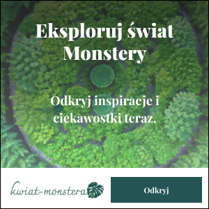 Główne przyczyny żółknięcia liści monstery